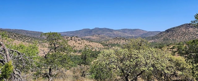 102 Saddlebag Trl, Fort Davis TX, 79734 land for sale