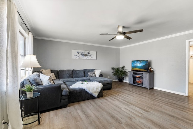 living room featuring light wood-style floors, ceiling fan, baseboards, and crown molding