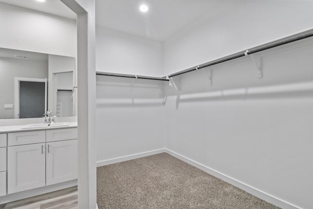 walk in closet with sink and light carpet