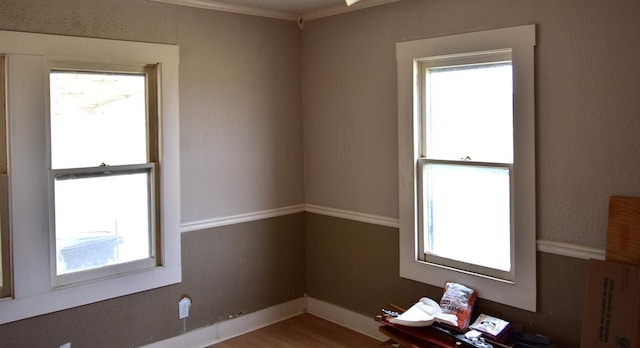 spare room featuring hardwood / wood-style flooring, crown molding, and a wealth of natural light