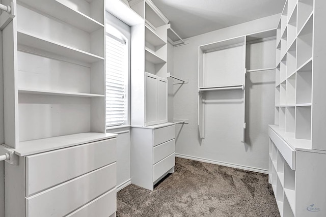 walk in closet with dark carpet