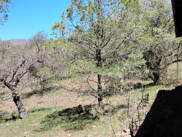 view of landscape