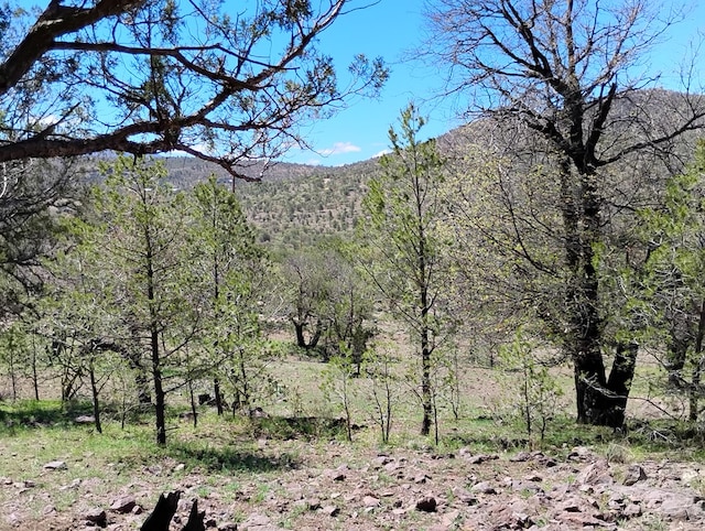 view of mountain feature