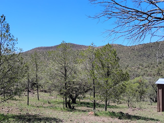 property view of mountains