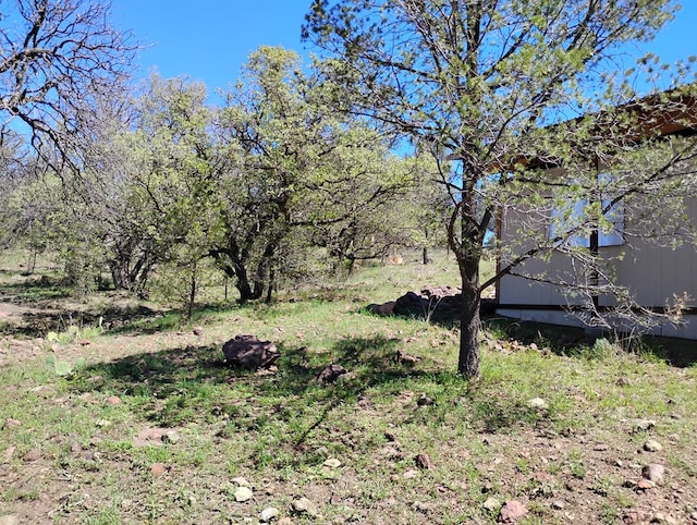 view of landscape