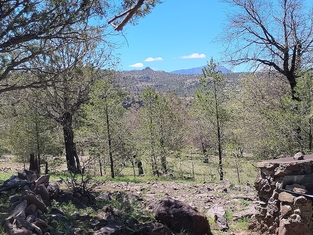 view of mountain feature