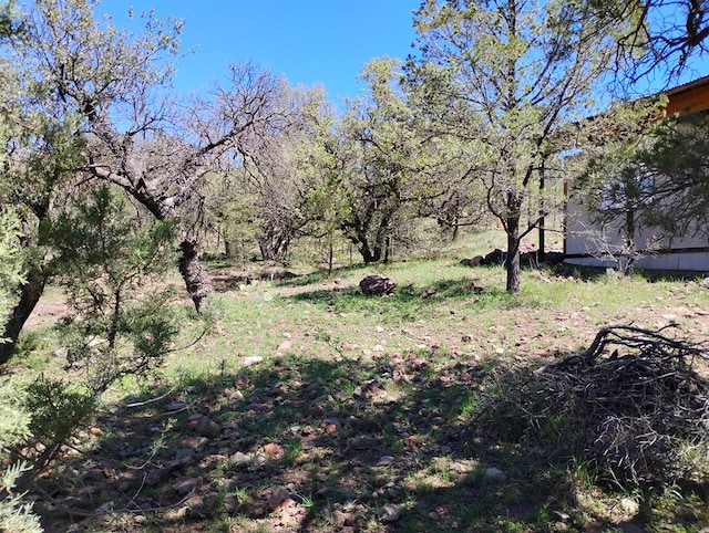 view of landscape