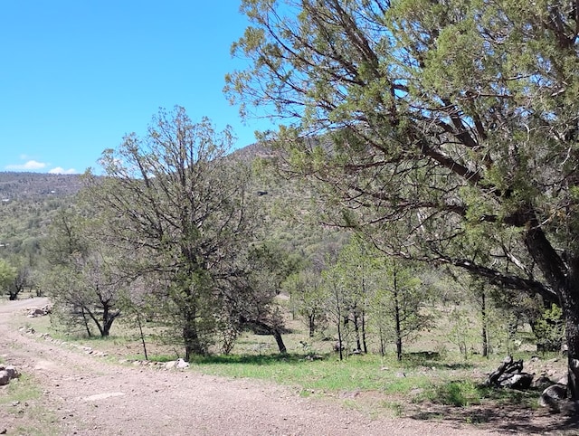 view of mountain feature