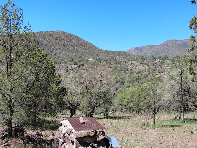 view of mountain feature