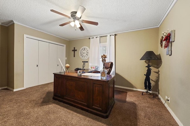 office space with carpet flooring, crown molding, and a textured ceiling