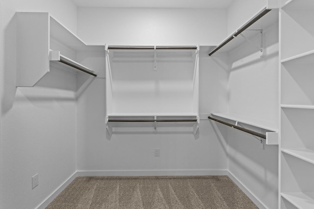 walk in closet featuring carpet