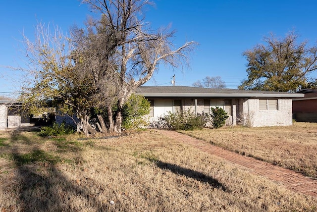 back of house featuring a yard