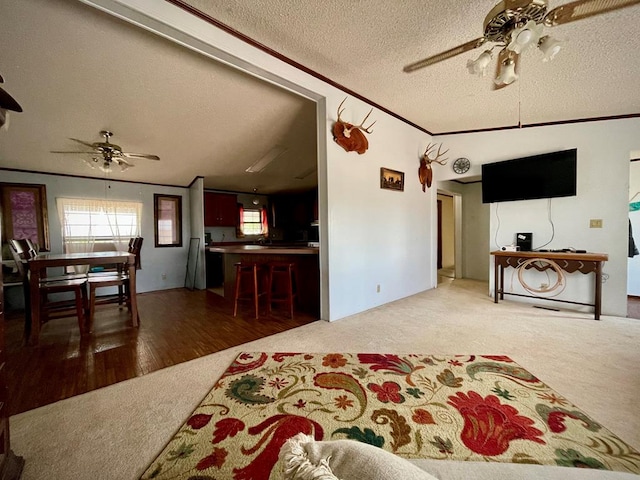 carpeted living room featuring ceiling fan, ornamental molding, and a textured ceiling