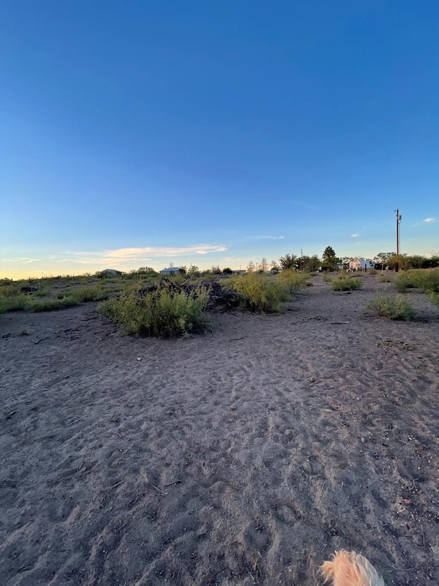 view of local wilderness