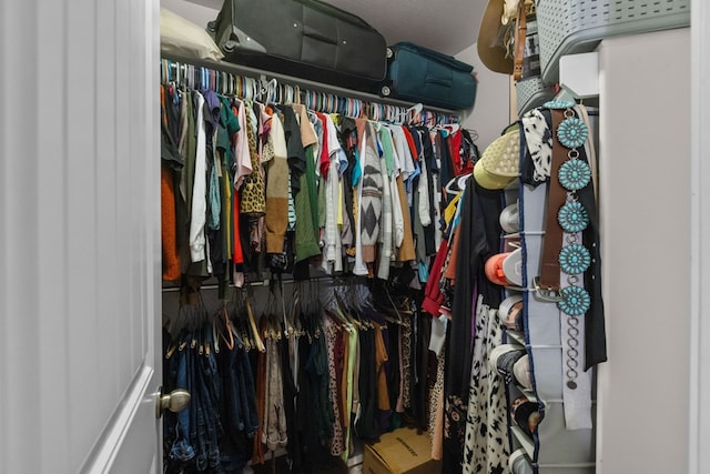 view of spacious closet