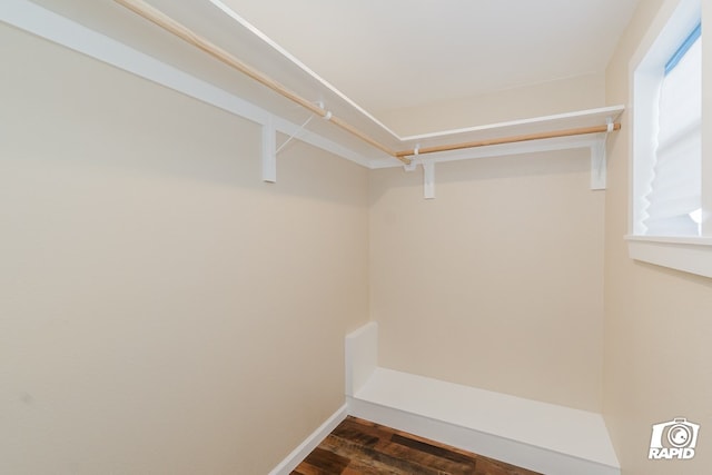 walk in closet featuring dark hardwood / wood-style floors