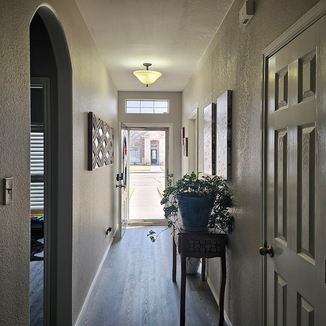 foyer entrance featuring hardwood / wood-style floors