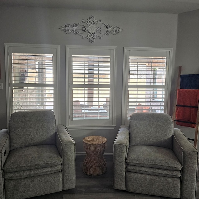 living area featuring hardwood / wood-style floors