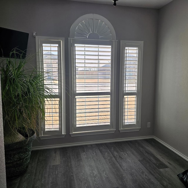 interior space featuring dark hardwood / wood-style flooring