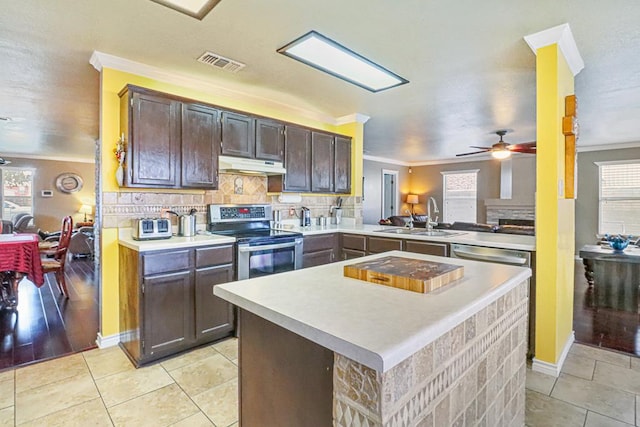 kitchen featuring appliances with stainless steel finishes, dark brown cabinets, ceiling fan, sink, and light hardwood / wood-style flooring