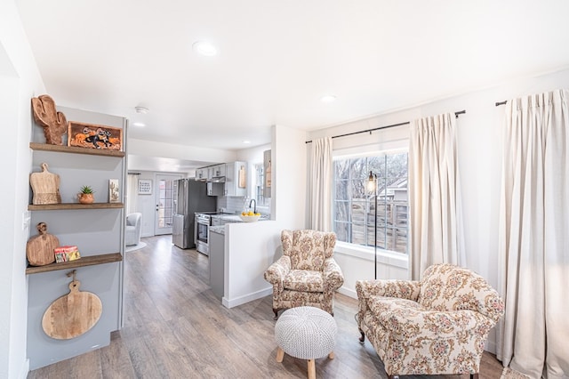 sitting room with hardwood / wood-style flooring and sink