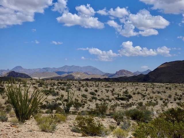 Listing photo 2 for 285 S County Rd, Terlingua TX 79852