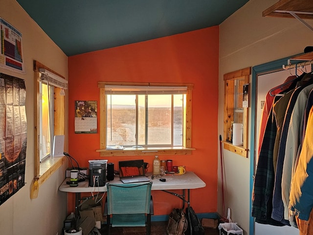 interior space with a healthy amount of sunlight and lofted ceiling