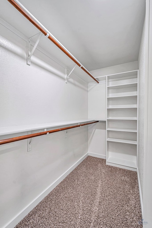 spacious closet with carpet flooring