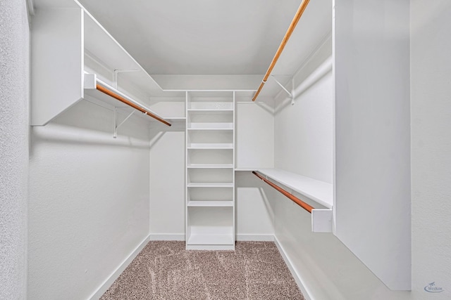 walk in closet featuring light carpet