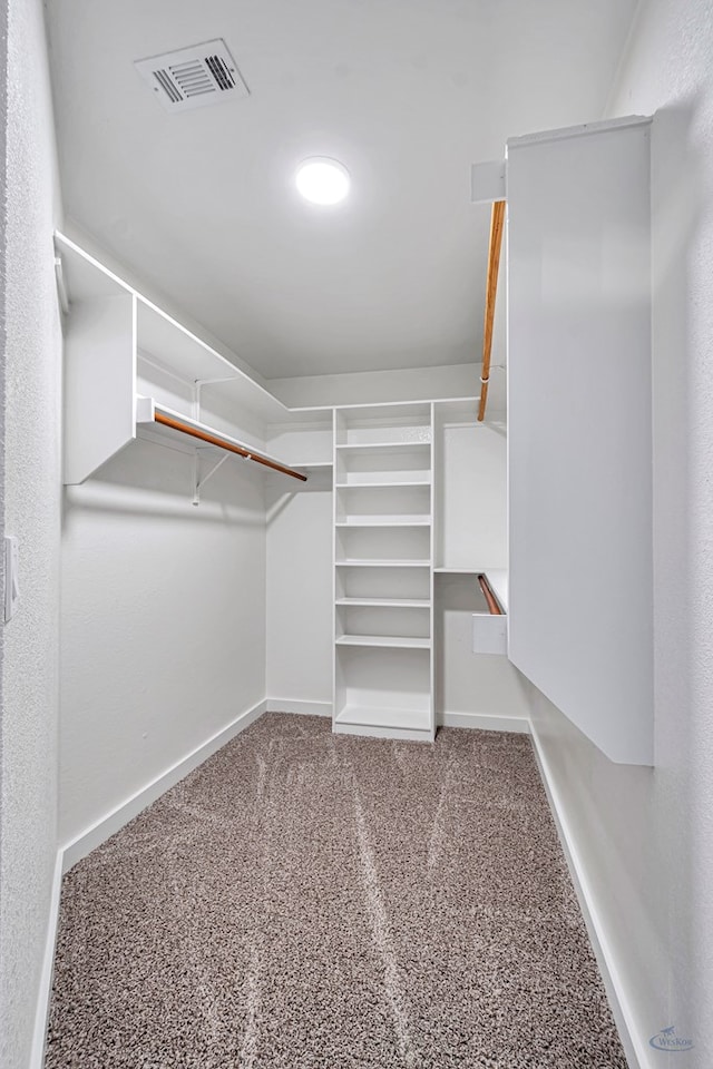 spacious closet with carpet floors