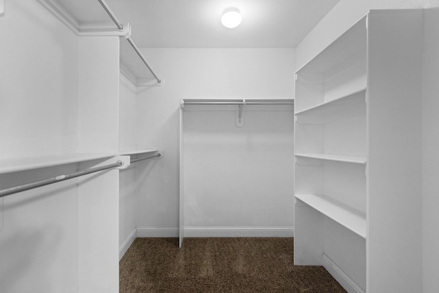 spacious closet with carpet floors