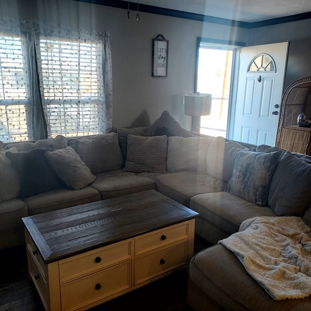 living room with a wealth of natural light