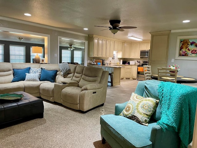 living room with a textured ceiling, ceiling fan, ornamental molding, and sink