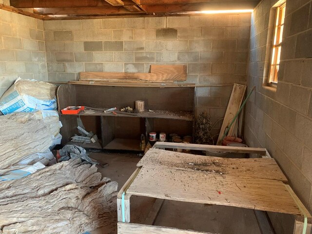 miscellaneous room featuring unfinished concrete floors and concrete block wall