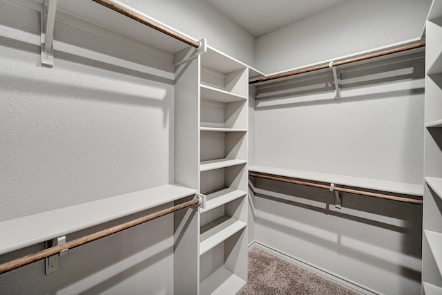 spacious closet with carpet floors