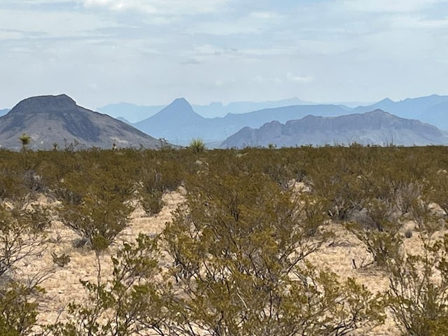 14753 Titan Pkwy, Alpine TX, 75830 land for sale