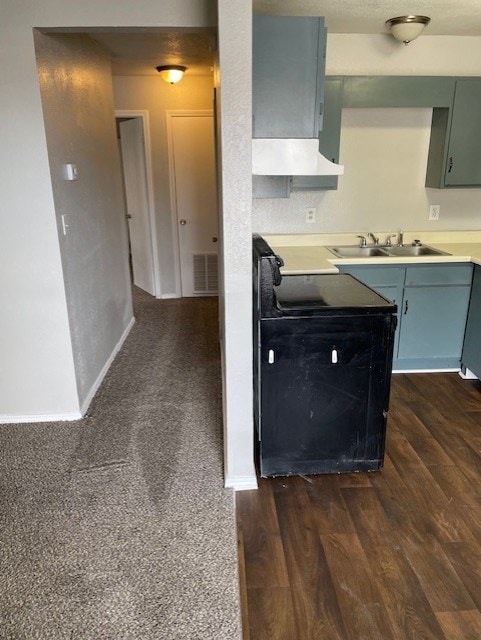 kitchen with dark wood-type flooring and sink