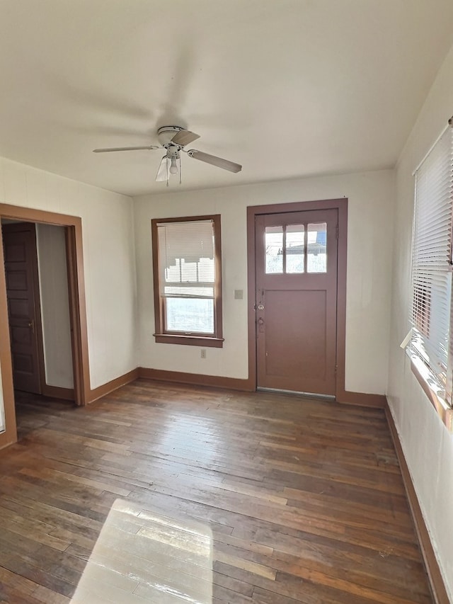 foyer featuring dark hardwood / wood-style flooring and ceiling fan