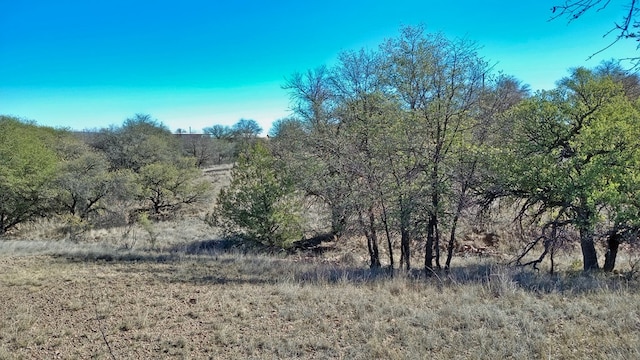 view of landscape