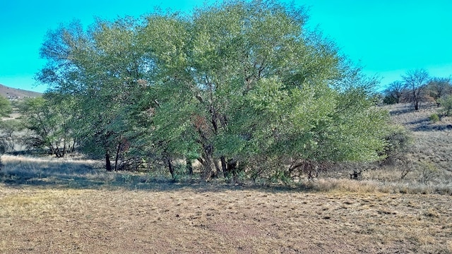 view of nature