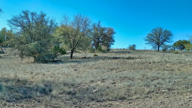 view of nature featuring a rural view