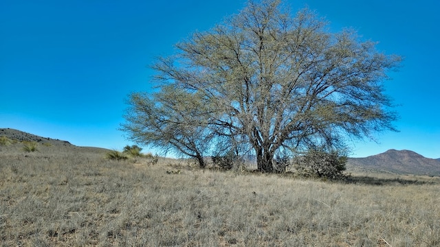 view of mountain feature