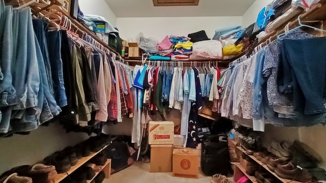 view of spacious closet