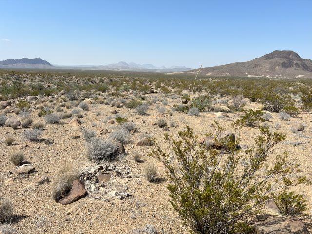 15388 Rutting Buck Rd, Alpine TX, 79830 land for sale