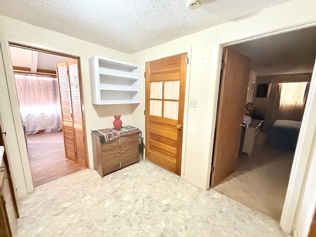 hall with carpet flooring and a textured ceiling