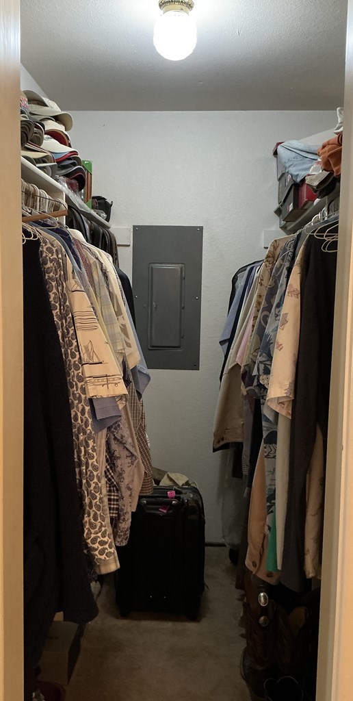 walk in closet with electric panel and carpet flooring