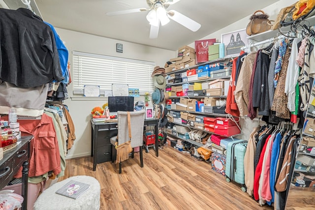 spacious closet with ceiling fan and light hardwood / wood-style flooring