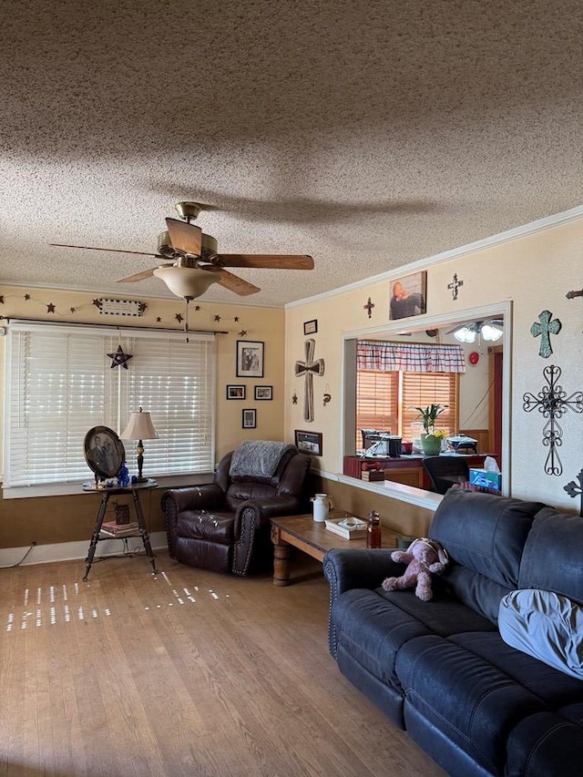 711 24th St, Crane, TX 79731 - living area featuring wood finished floors, a ceiling fan, a textured ceiling, and crown molding