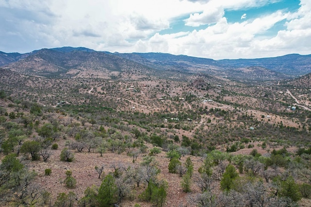 100 Fairview Pt, Fort Davis, TX 79734