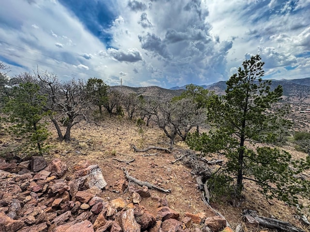 100 Fairview Pt, Fort Davis, TX 79734